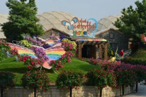 Rose Hotel Group Home 14 Butterfly Garden Dubai