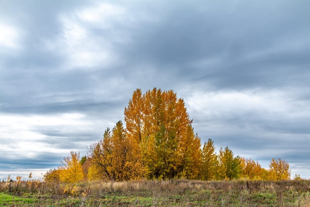 Best Seasons to Visit Dubai - When the City Truly Shines